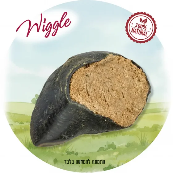 WIGGLE ���� ������ ���� ���� ���� ���� | ���� ����� ���� ����� ������