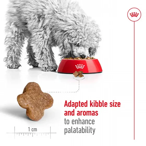 Royal Canin Mini Mature +8 | ���� ������ ������� ���� ��� 