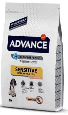 ADVANCE ������ ����� ������� ���� ���� ��� ������ �� ���� 12 �"�