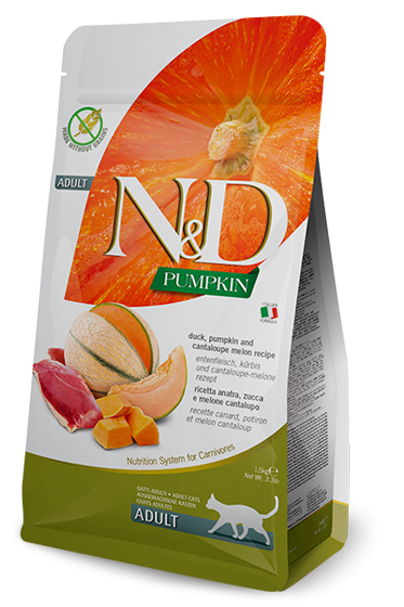 N&D ����� ���� ����, ����� ����� 