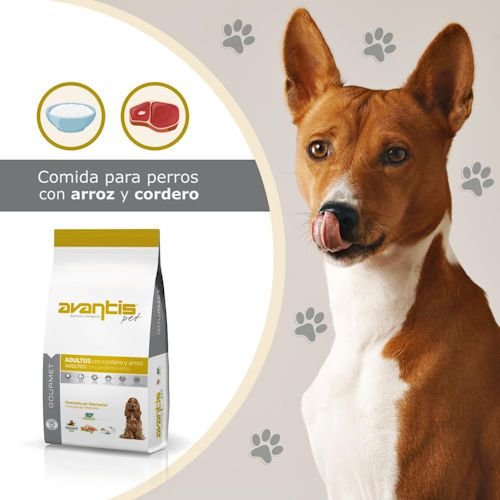 AVANTIS ������� ����� ��� ���� ��� ���� 15 �"�