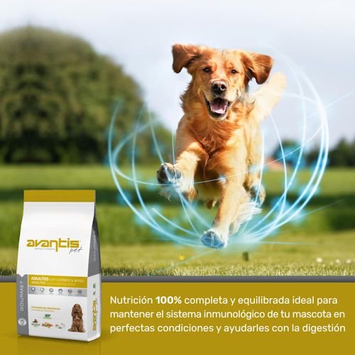 AVANTIS ������� ����� ��� ���� ��� ���� 15 �"�