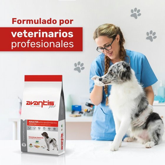 AVANTIS ������� ��������� ����� ������ 3 ���� ��� 15 �"�