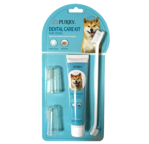 ���� ���� ������ ������ ������ PURRY