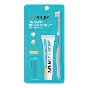Purry ���� ���� ������ ������� ������ ������� ���� ���